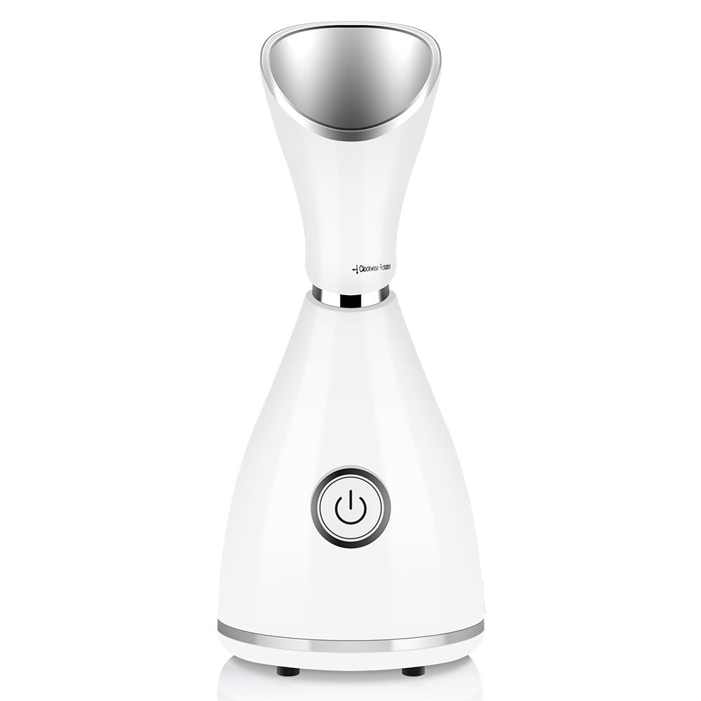 Ionic Facial Steamer