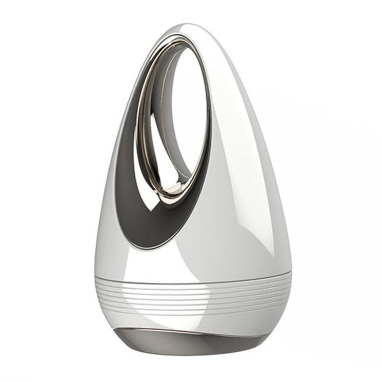 Ion Face Electric Massager