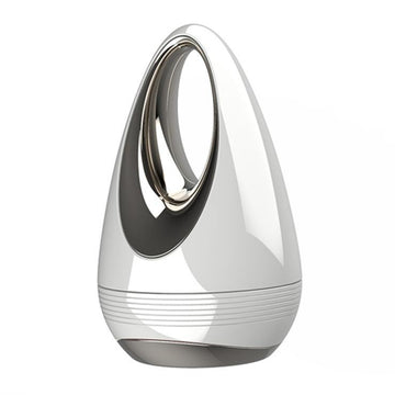 Ion Face Electric Massager